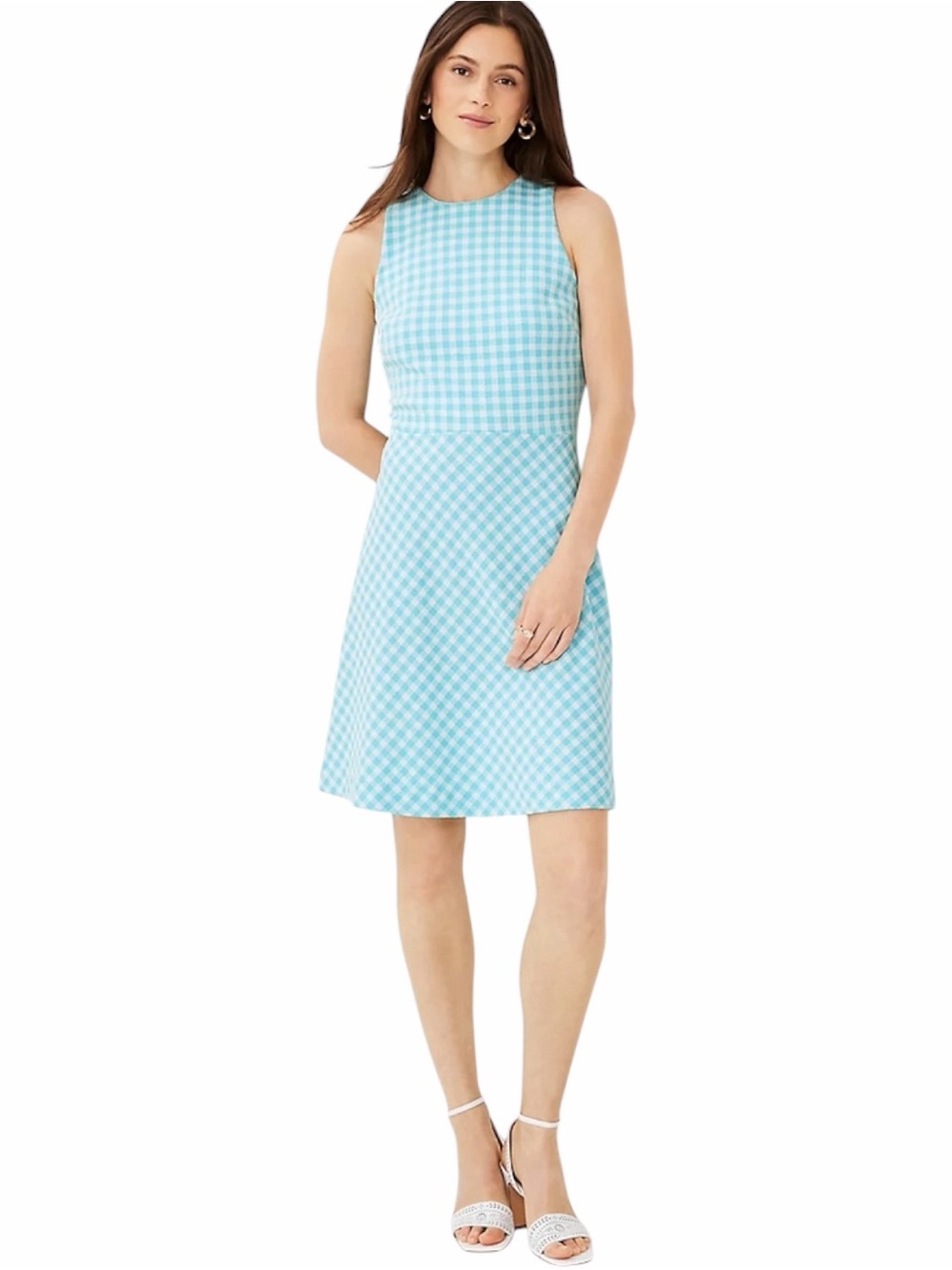 Ann Taylor Sleeveless Gingham Dress